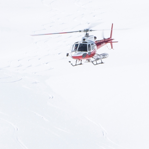 Heliski Ebnefluh e Petersgrat (con discesa a Stechelberg)
